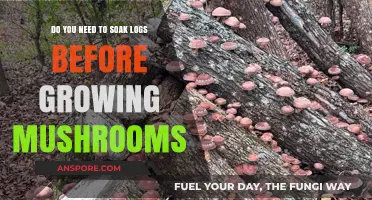 Should You Soak Logs Before Growing Mushrooms? Essential Tips Revealed