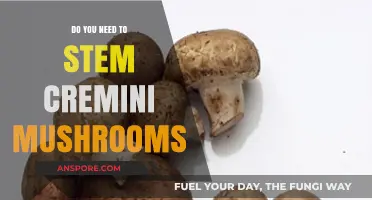How to Prepare Cremini Mushrooms: To Stem or Not?