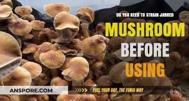 Should You Strain Jarred Mushrooms Before Cooking? A Quick Guide