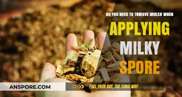 Should You Remove Mulch Before Applying Milky Spore? Expert Tips