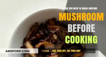 Should You Wash Shiitake Mushrooms Before Cooking? Expert Tips