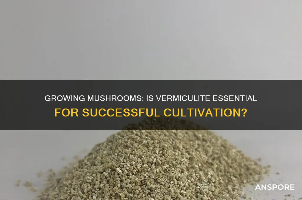 do you need vermiculite for growing mushrooms