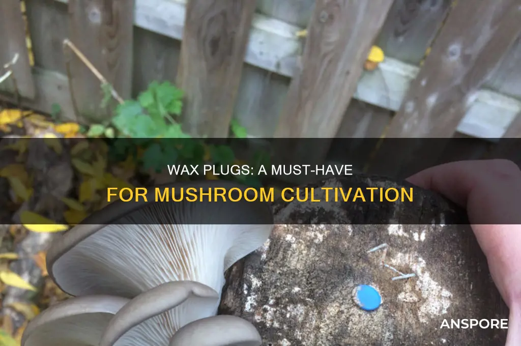 do you need wax mushroom plugs
