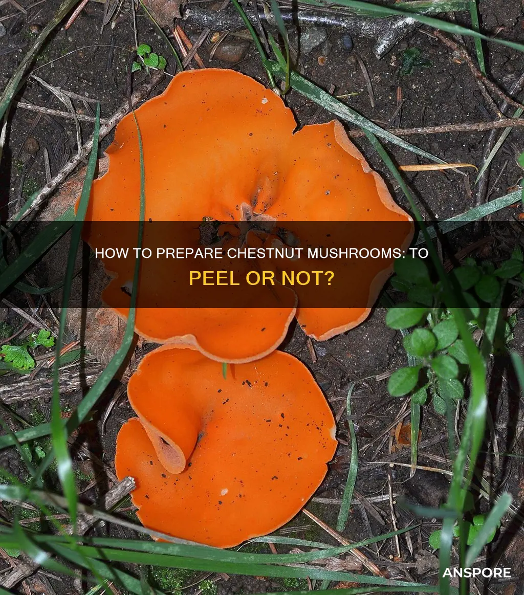 do you peel chestnut mushrooms