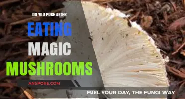 Magic Mushrooms and Nausea: Why Some People Vomit After Consumption