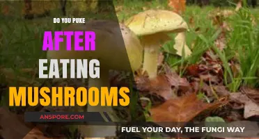 Mushroom Nausea: Understanding Post-Meal Vomiting After Eating Mushrooms