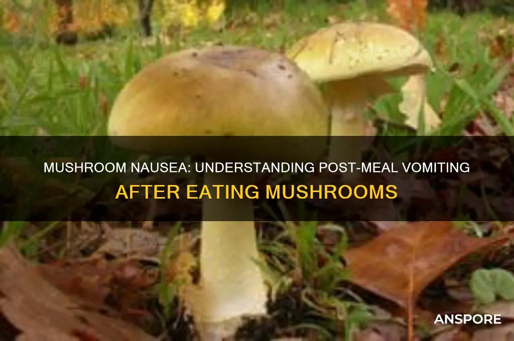 do you puke after eating mushrooms
