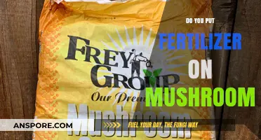 How Fertilizer Affects Mushroom Growth