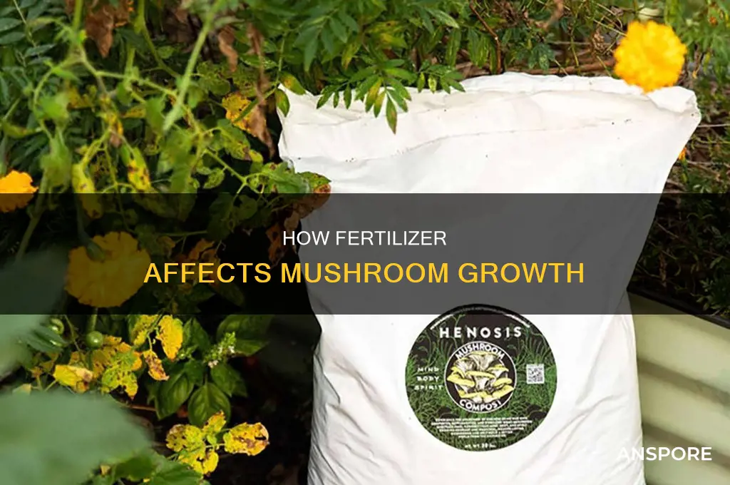 do you put fertilizer on mushrooms