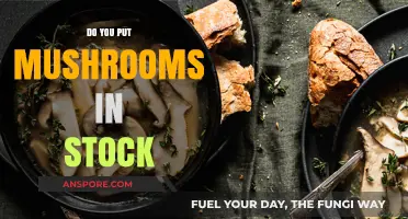 The Magic of Mushrooms: Elevating Your Stock's Taste