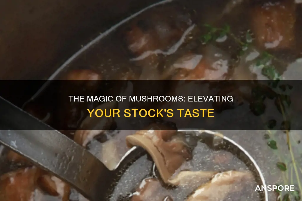 do you put mushrooms in stock
