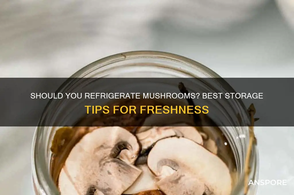 do you put mushrooms in the fridge