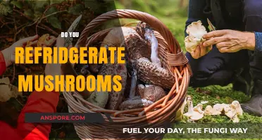 Should You Refrigerate Mushrooms?