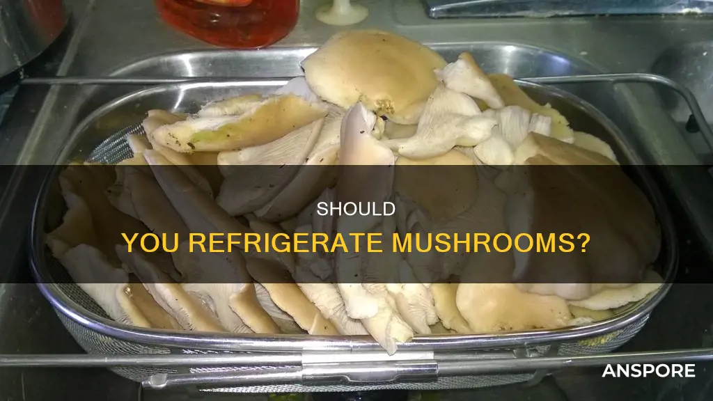 do you refridgerate mushrooms