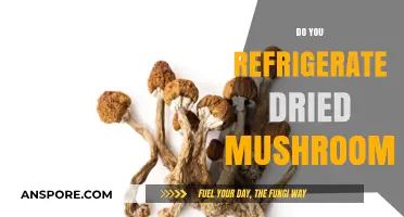 Dried Mushrooms: Fridge or Pantry?