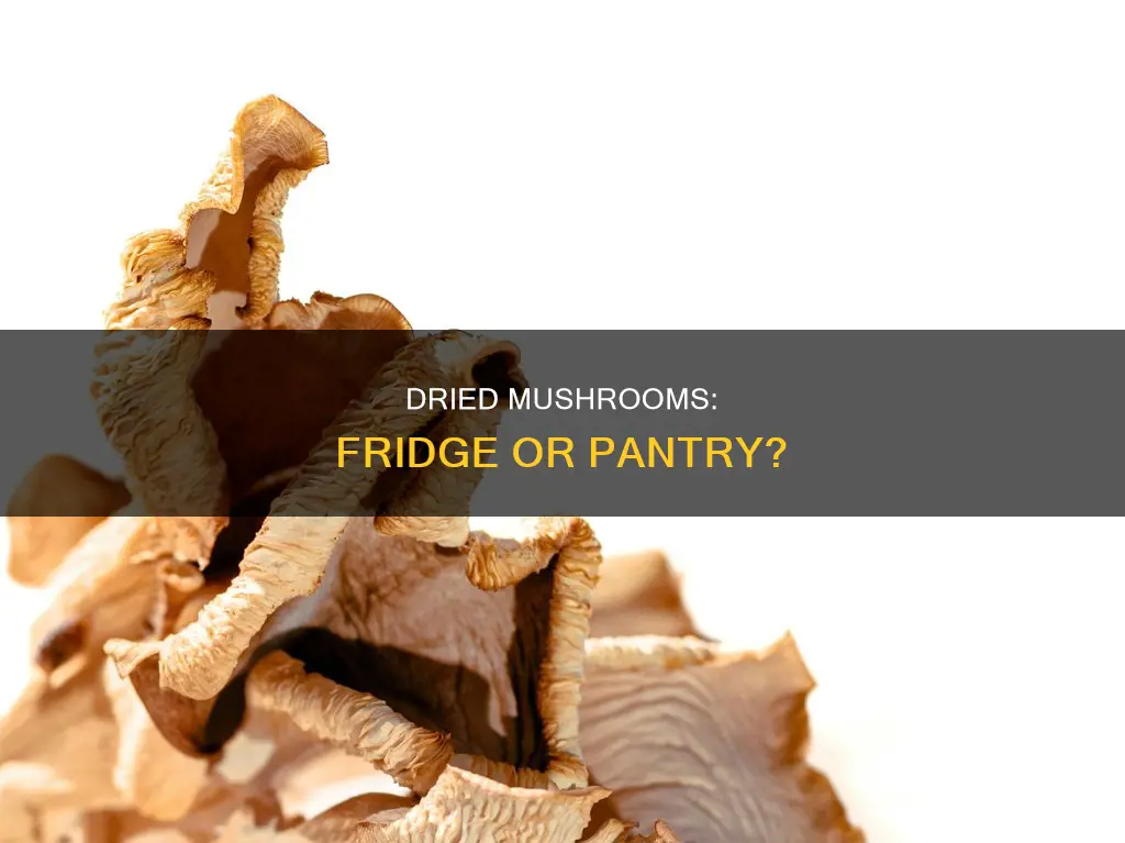do you refrigerate dried mushrooms