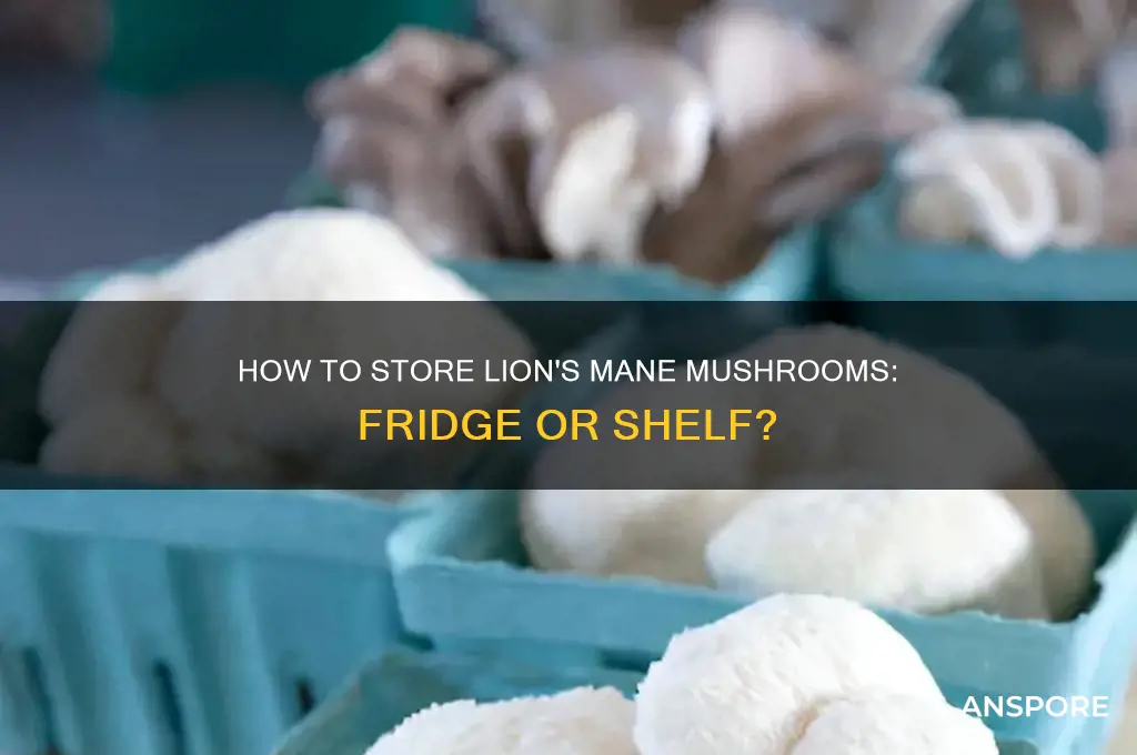 do you refrigerate lion