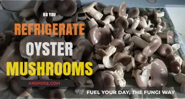 How to Store Oyster Mushrooms: Fridge or No Fridge?