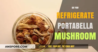 How to Store Portabella Mushrooms: Fridge or Pantry?