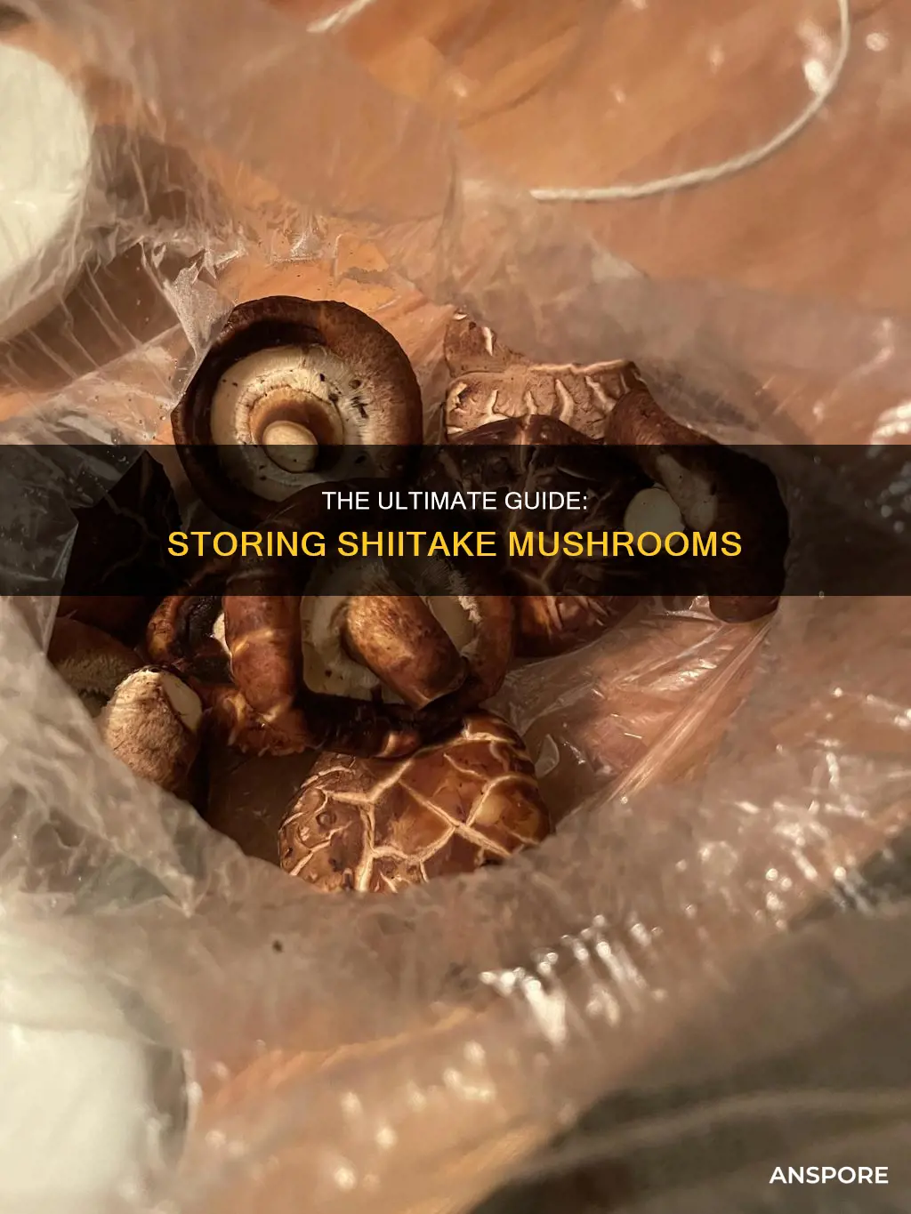 do you refrigerate shiitake mushrooms