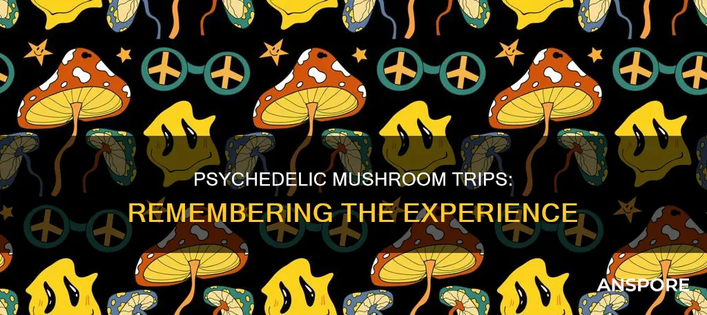 do you remember mushroom trips