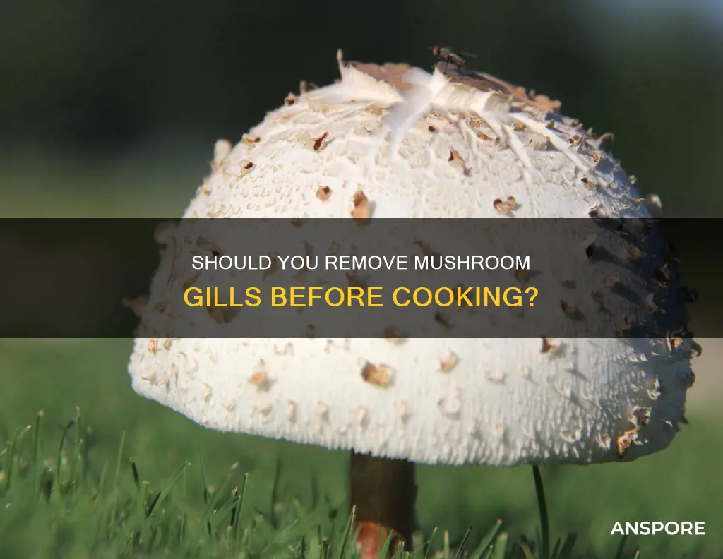 do you remove mushroom gills