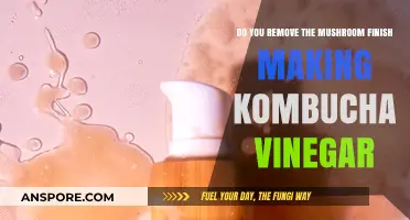 Making Kombucha Vinegar: Removing Mushroom for Better Taste