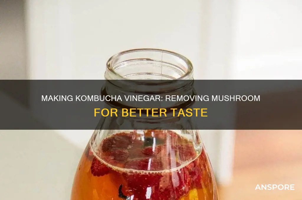 do you remove the mushroom finish making kombucha vinegar