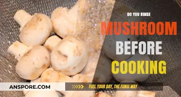 Should You Rinse Mushrooms Before Cooking? Expert Tips and Advice