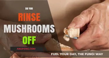 How to Clean Mushrooms: Rinse or Wipe?