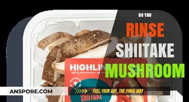 Shiitake Mushrooms: To Rinse or Not to Rinse?