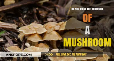 The Importance of Rinsing Mushroom Undersides