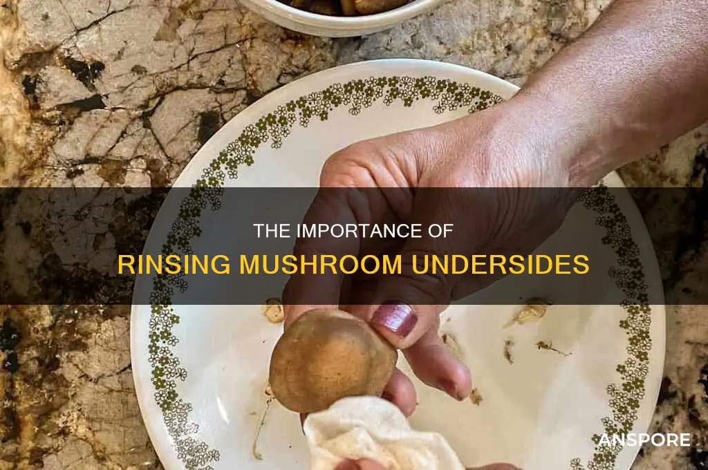 do you rinse the underside of a mushroom