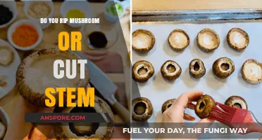 The Best Way to Prepare Mushrooms: Rip or Cut?