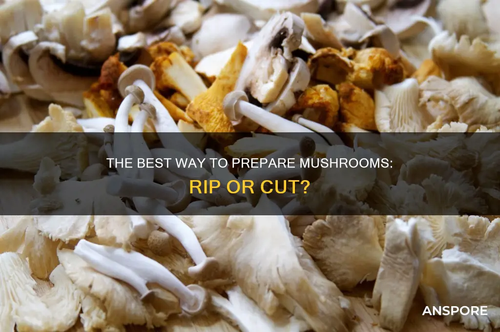 do you rip mushroom or cut stem