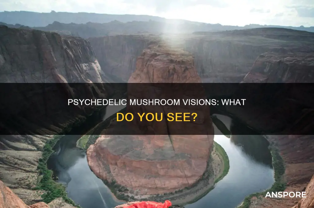 do you see visuals on mushrooms