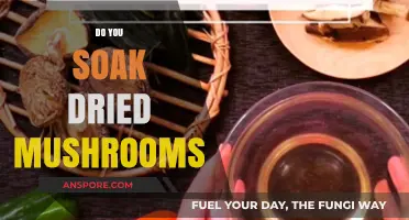 The Ultimate Guide: Soaking Dried Mushrooms