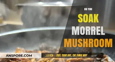 Soaking Morrel Mushrooms: A Guide to Preparing This Delicacy