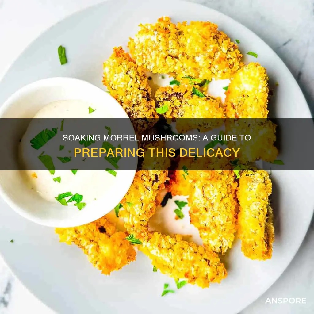 do you soak morrel mushrooms