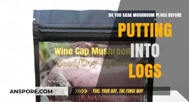Mushroom Plugs: Soak Before Inserting into Logs?