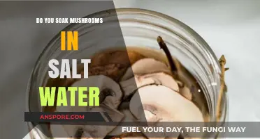 The Secret to Soaking Mushrooms: Salt Water Soak