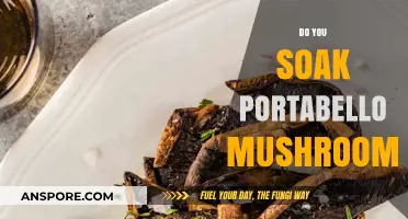How to Prepare Portabello Mushrooms: To Soak or Not?