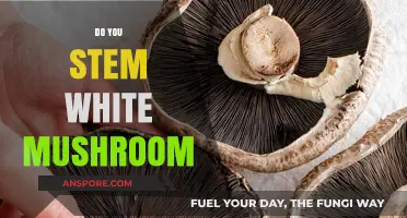 Should You Stem White Mushrooms?
