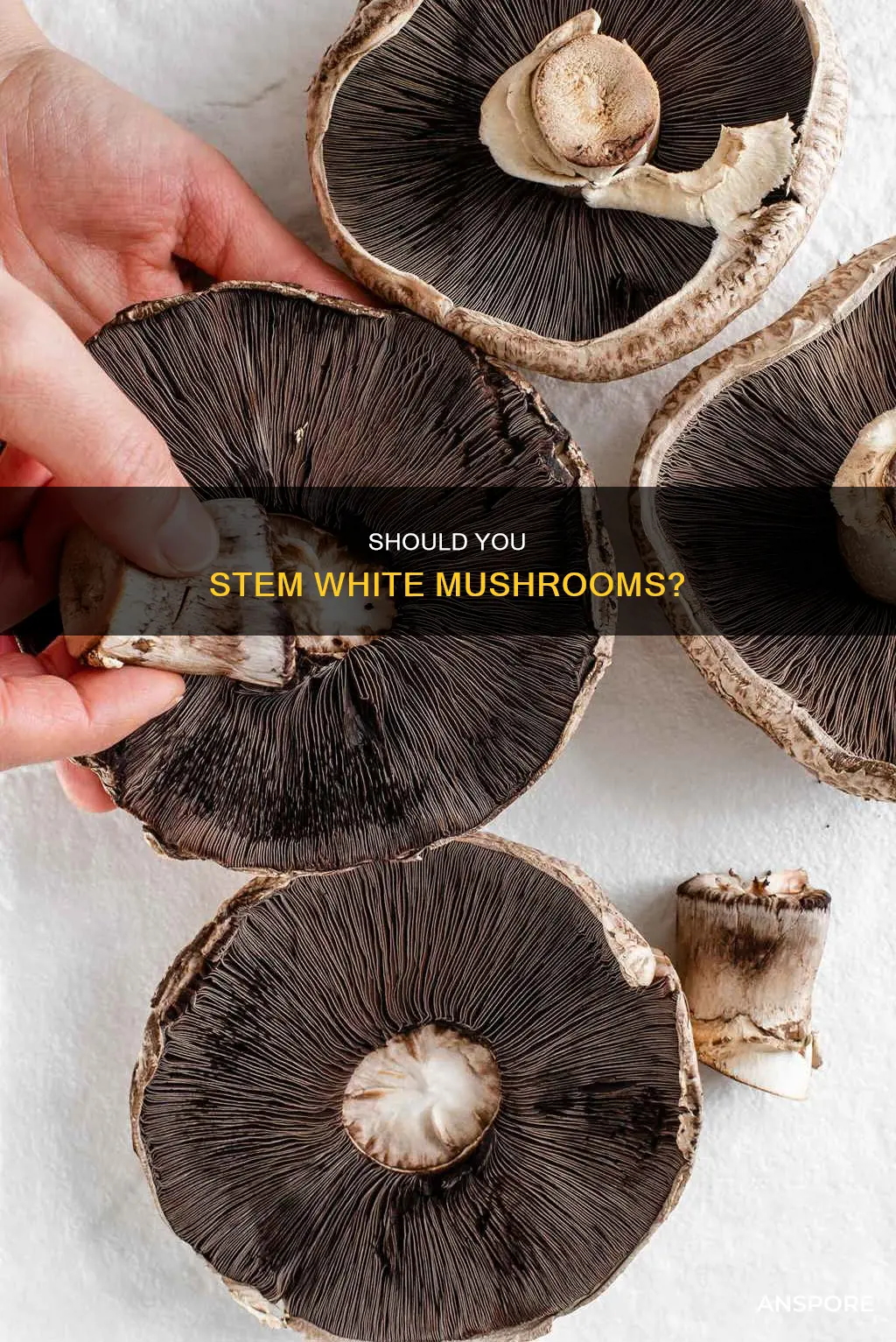 do you stem white mushroom
