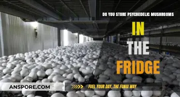 The Best Way to Store Psychedelic Mushrooms