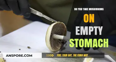 Mushroom Consumption: Empty Stomach or Full?