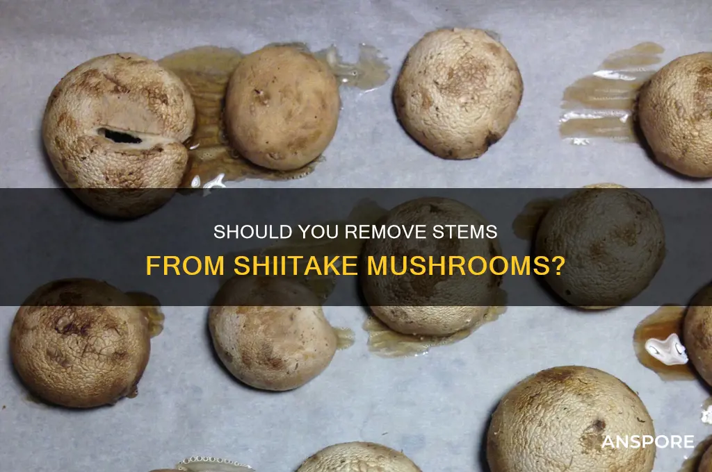 do you take the bottms off shitake mushrooms