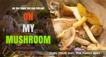 Exploding on Mushrooms: Unveiling the Truth Behind a Strange Request