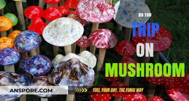 Tripping on Mushrooms: A Safe Adventure?