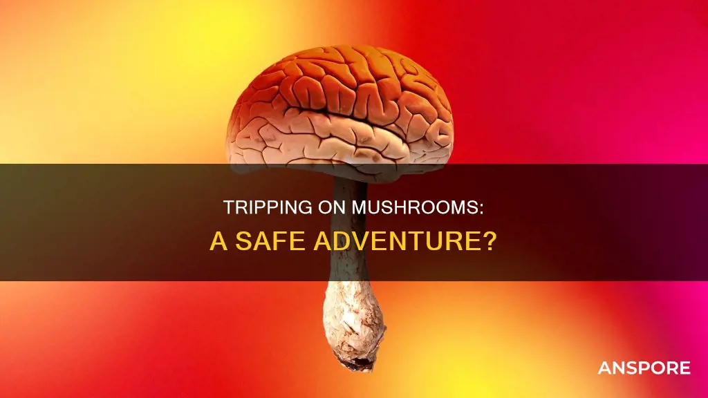 do you trip on mushrooms
